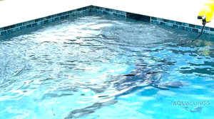 aqualungs50.com - Pool Cleaning With Bad Air Carissa Dumond thumbnail